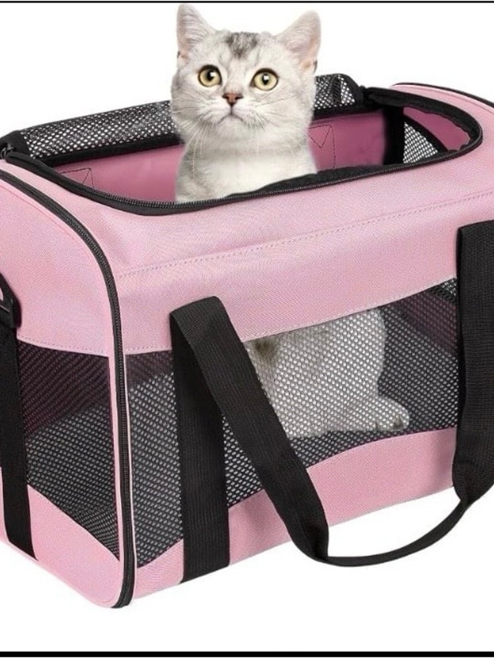 Soft Pink Cat Travel Carrier with Mesh Ventilation